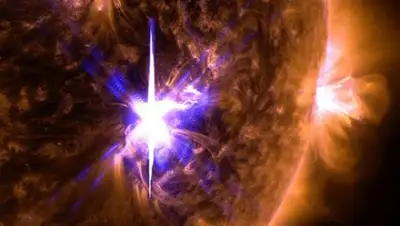 Zakon.kz, фото - Новости Zakon.kz от 11.09.2017 15:25