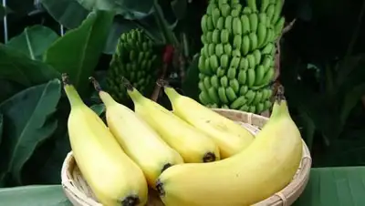 Zakon.kz, фото - Новости Zakon.kz от 26.01.2018 14:39