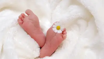 Pixabay, фото - Новости Zakon.kz от 22.04.2020 15:08