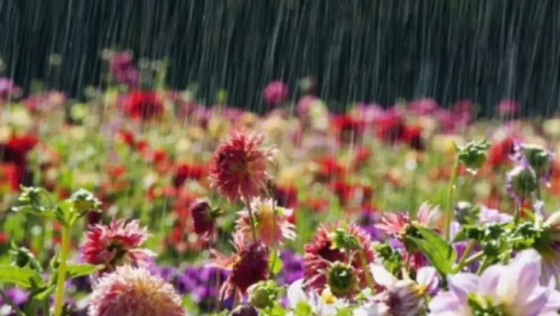 Какая погода будет 1 мая