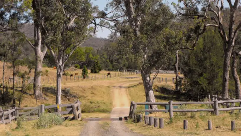 В Австралии дети угнали машину и проехали около 1000 километров