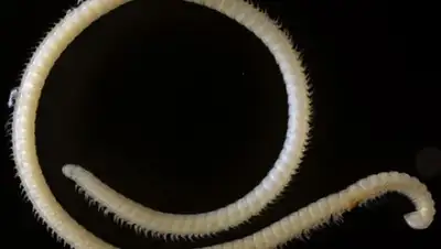 Zakon.kz, фото - Новости Zakon.kz от 24.10.2016 18:06