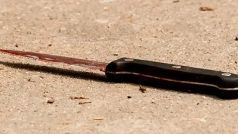 Десятиклассника зарезали в южно-казахстанской школе