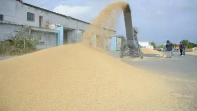 zakon.kz / Максим Золотухин, фото - Новости Zakon.kz от 18.10.2021 14:25