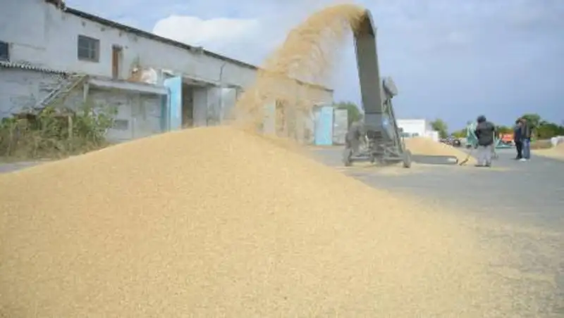 Это общемировая тенденция - Минсельхоз о росте цен на хлеб