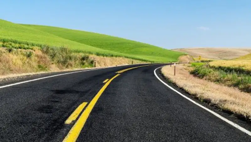 Высаживать деревья вдоль дорог предложили депутаты