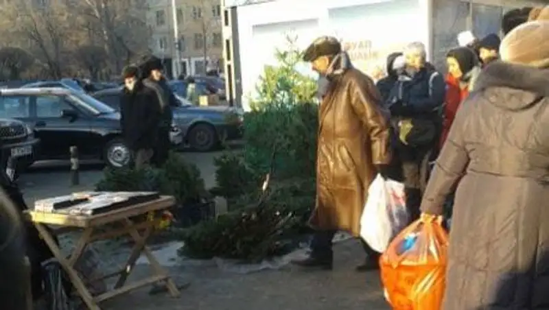 В Усть-Каменогорске живые ели продают дешевле, чем искусственные