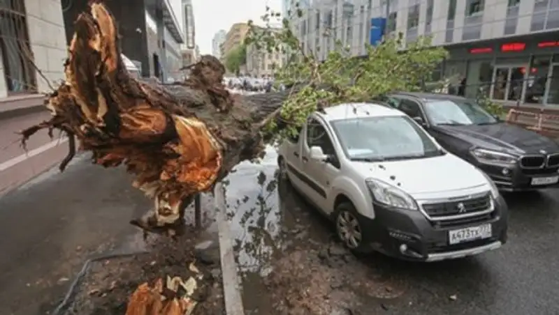 Ураган в Москве: число пострадавших выросло до 15