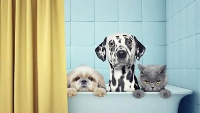 Часть зданий в Алматы на сутки отключат от горячей воды