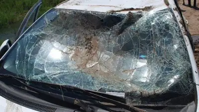 Zakon.kz, фото - Новости Zakon.kz от 21.12.2015 20:42