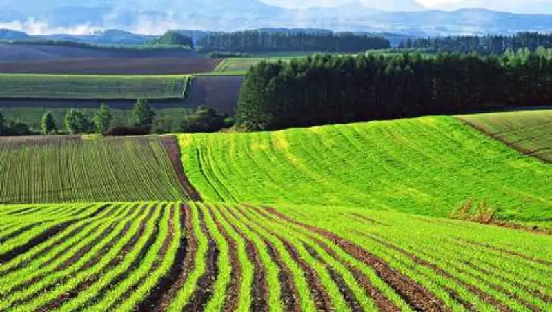 Токаев подписал закон, запрещающий продажу земли иностранцам