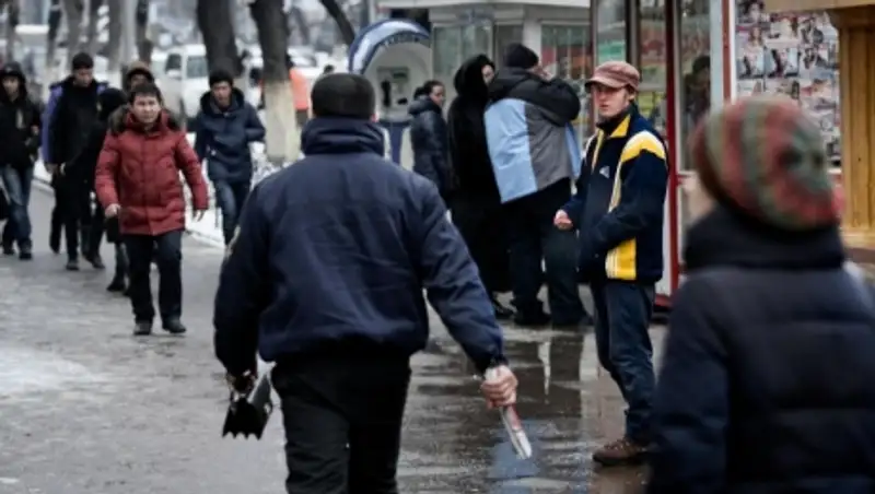 Портрет типичного алматинца - инфографика