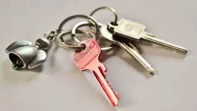 pixabay, фото - Новости Zakon.kz от 02.02.2019 06:19