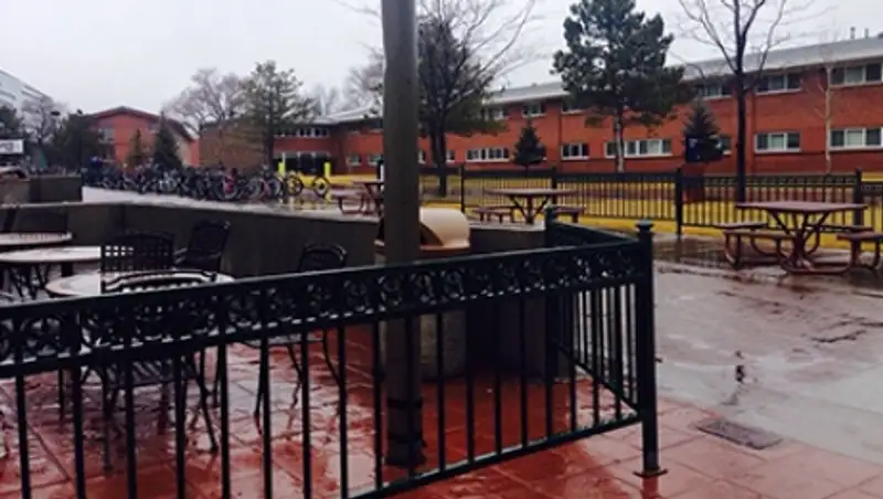 В университете Аризоны произошла стрельба