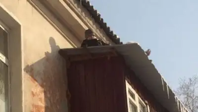 Zakon.kz, фото - Новости Zakon.kz от 20.01.2017 16:43