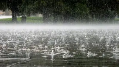 Zakon.kz, фото - Новости Zakon.kz от 07.08.2017 12:00