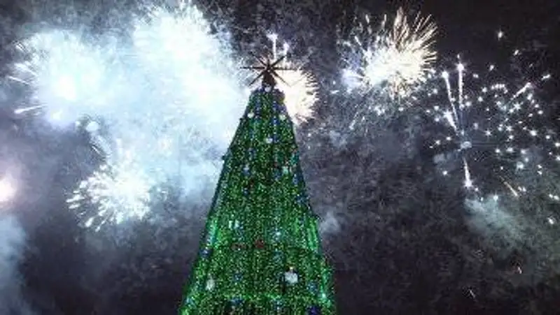 Президент Казахстана зажег главную новогоднюю елку страны, фото - Новости Zakon.kz от 30.11.2011 00:28