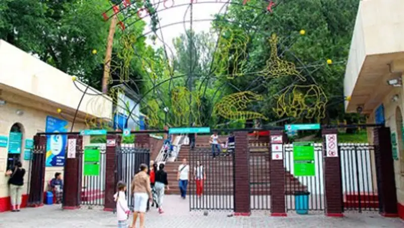 Международная комиссия обвинила посетителей Алматинского зоопарка в болезни животных