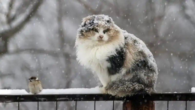 В Казахстане идет ухудшение погоды