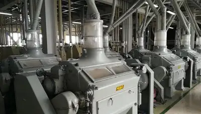 Пресс-служба акима СКО, фото - Новости Zakon.kz от 01.06.2018 16:47