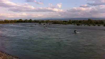 Zakon.kz, фото - Новости Zakon.kz от 28.05.2016 02:28