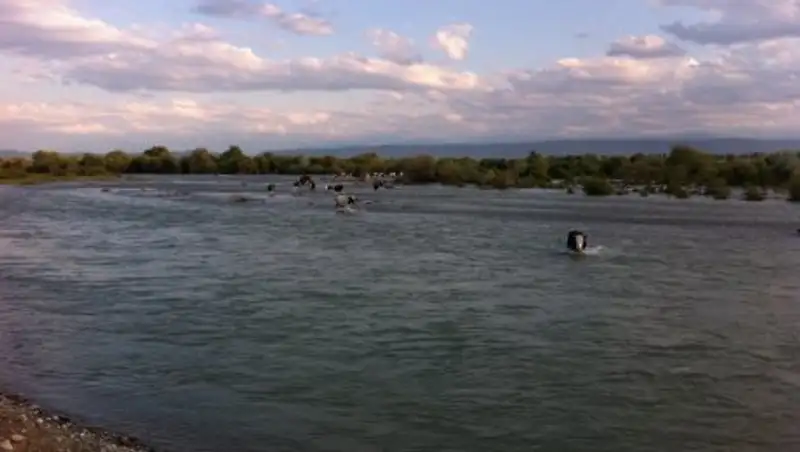 В Жамбылской области ищут двоих утонувших