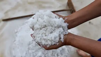 Zakon.kz, фото - Новости Zakon.kz от 29.08.2017 12:14