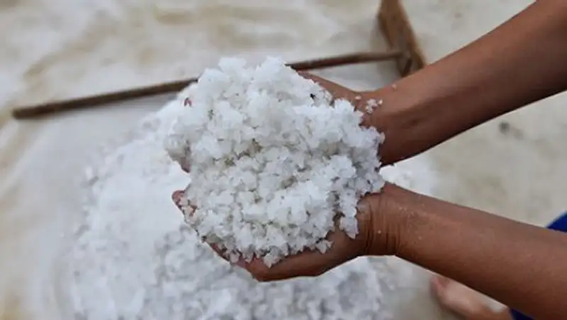 Названа главная опасность злоупотребления солью