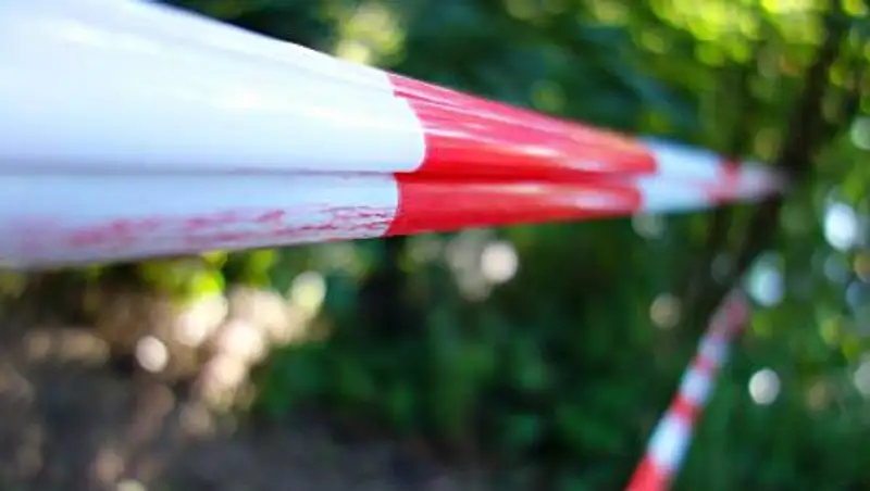 Два грузовика на высокой скорости столкнулись в Акмолинской области