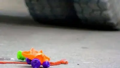 Zakon.kz, фото - Новости Zakon.kz от 20.09.2017 20:36