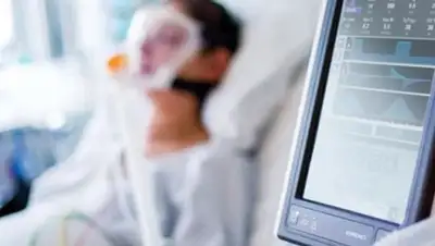 focus.ua, фото - Новости Zakon.kz от 17.08.2020 22:47