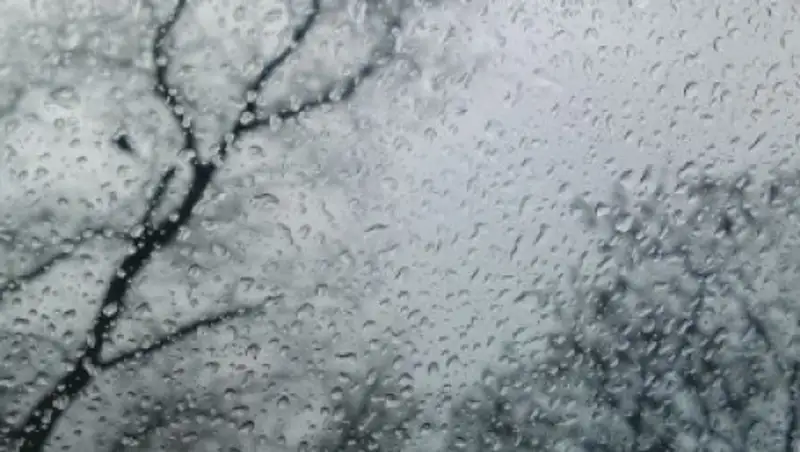 Дождь и снег ожидаются в Казахстане 5 марта