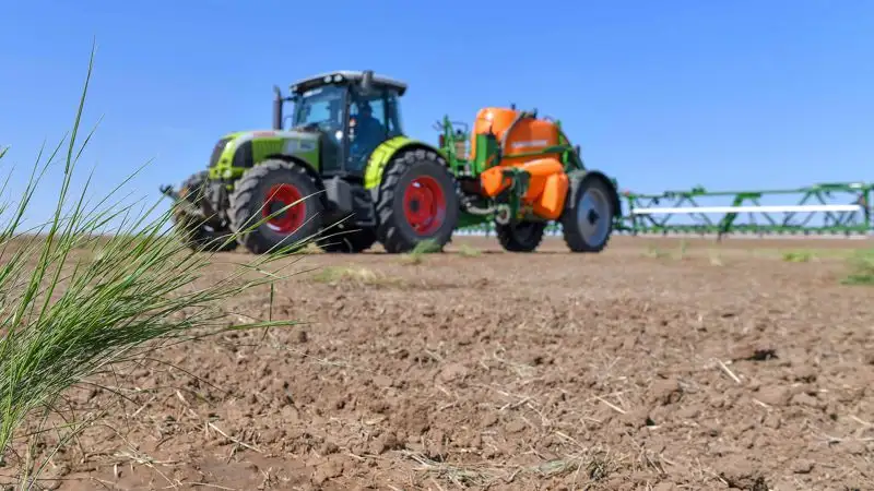 Половодье увеличило посевные поля в Кызылординской области