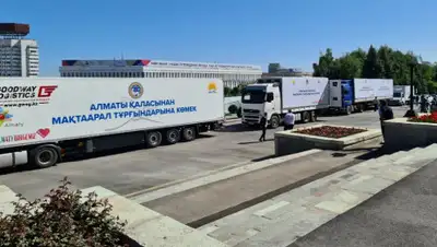 almaty.gov.kz, фото - Новости Zakon.kz от 08.05.2020 13:27