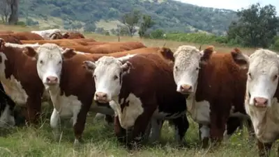 Zakon.kz, фото - Новости Zakon.kz от 20.09.2016 19:04