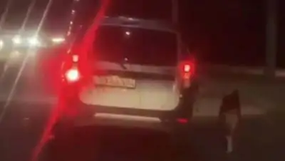 кадр из видео, фото - Новости Zakon.kz от 27.08.2020 16:12