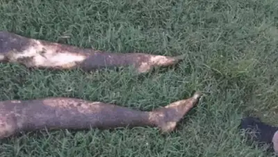 Lad Bible, фото - Новости Zakon.kz от 09.09.2020 17:41