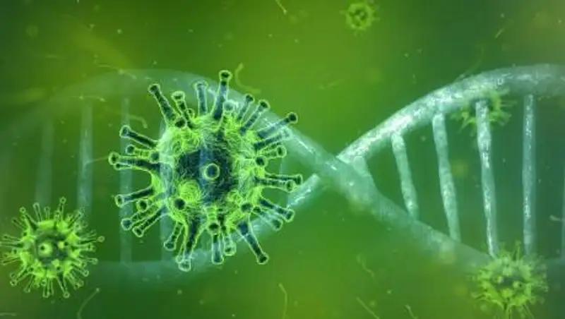 Разновидность коронавируса неизвестного происхождения нашли в Бразилии