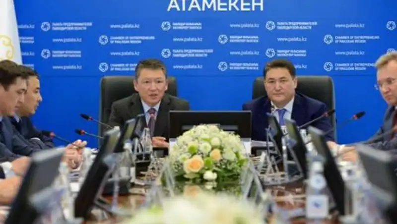 О программе для сельских бизнесменов рассказал Тимур Кулибаев во время визита в Павлодар