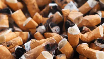 pxhere.com, фото - Новости Zakon.kz от 30.11.2019 01:59