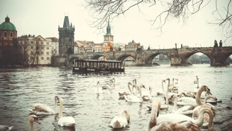 Чехия закрывает границы на год