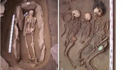 nplus1, фото - Новости Zakon.kz от 01.07.2020 06:56