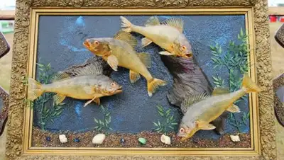 Zakon.kz, фото - Новости Zakon.kz от 13.08.2017 17:38