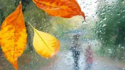 Zakon.kz, фото - Новости Zakon.kz от 08.11.2013 15:13