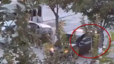 Liter.kz, фото - Новости Zakon.kz от 12.09.2020 07:01