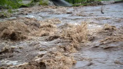 Zakon.kz, фото - Новости Zakon.kz от 27.04.2017 22:11