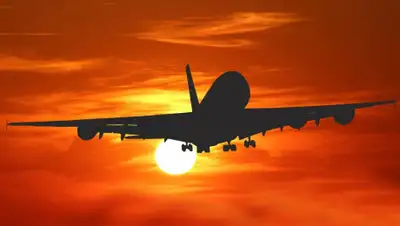 publicdomainpictures.net, фото - Новости Zakon.kz от 17.06.2020 11:56