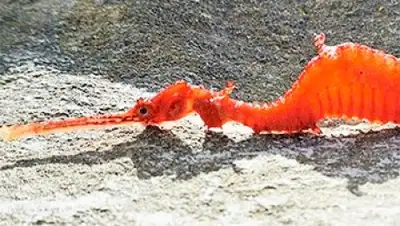 Zakon.kz, фото - Новости Zakon.kz от 14.01.2017 23:15