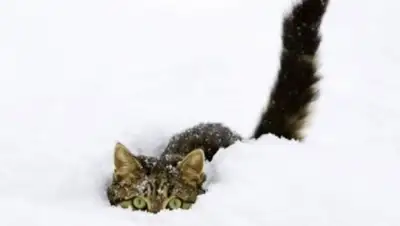 Zakon.kz, фото - Новости Zakon.kz от 27.11.2014 15:04