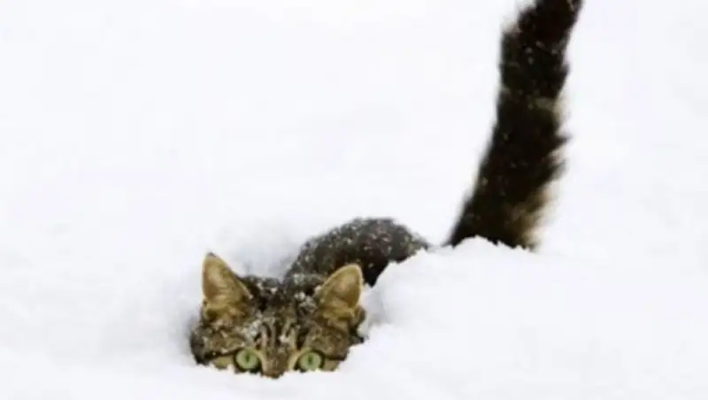 Неустойчивая погода сохраняется в Казахстане